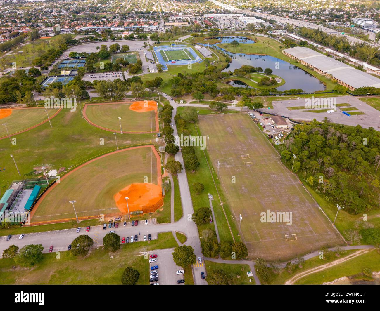 Tropical Park Miami Stock Fotoprint 2024 Stockfoto