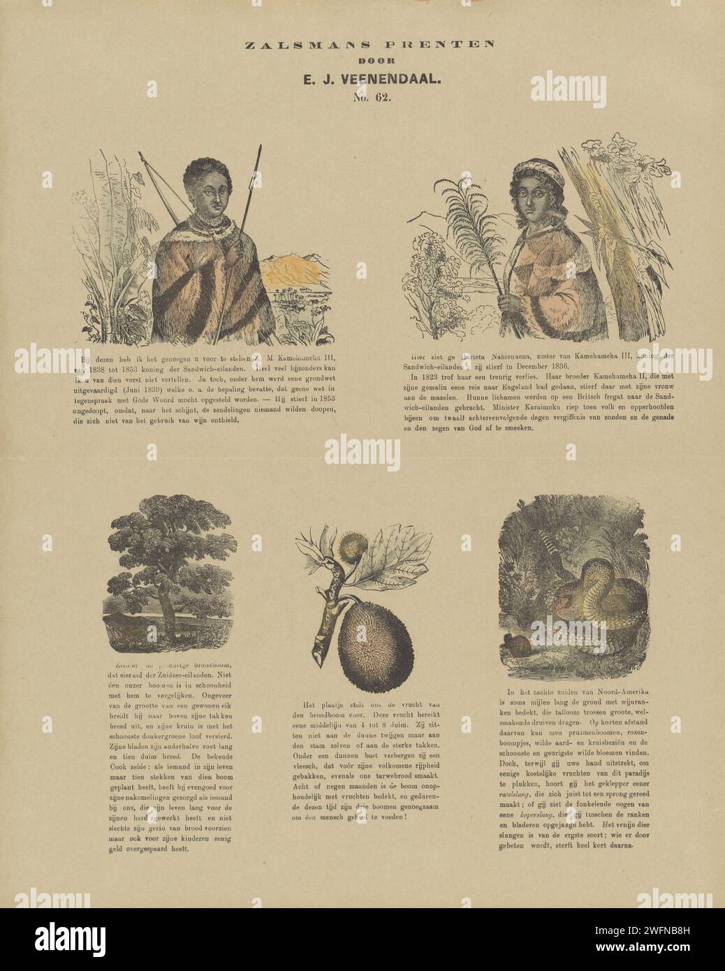 König Kamehameha III. Und seine Schwester Nahiennaena, ein Baum, eine Frucht und eine Schlange, 1869 - 1882 Druck Blatt mit 5 Aufführungen von Kamehameha III. Und seiner Schwester Nahiennaena, ein Baum, eine Frucht und eine Schlange. Eine Beschriftung unter jedem Bild. In der Mitte nummeriert: Nr. 62. Verlag: Kampennetslandsprint Maker: Europe Paper Letterpress Printing Lineal, souverän. Schlangen. Bäume Südgeorgien und die südlichen Sandwichinseln. Hawaii Stockfoto