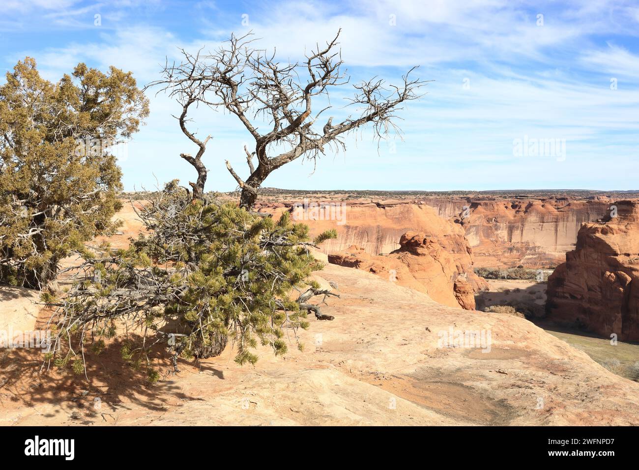 Blick auf den Chelly Canyon Stockfoto