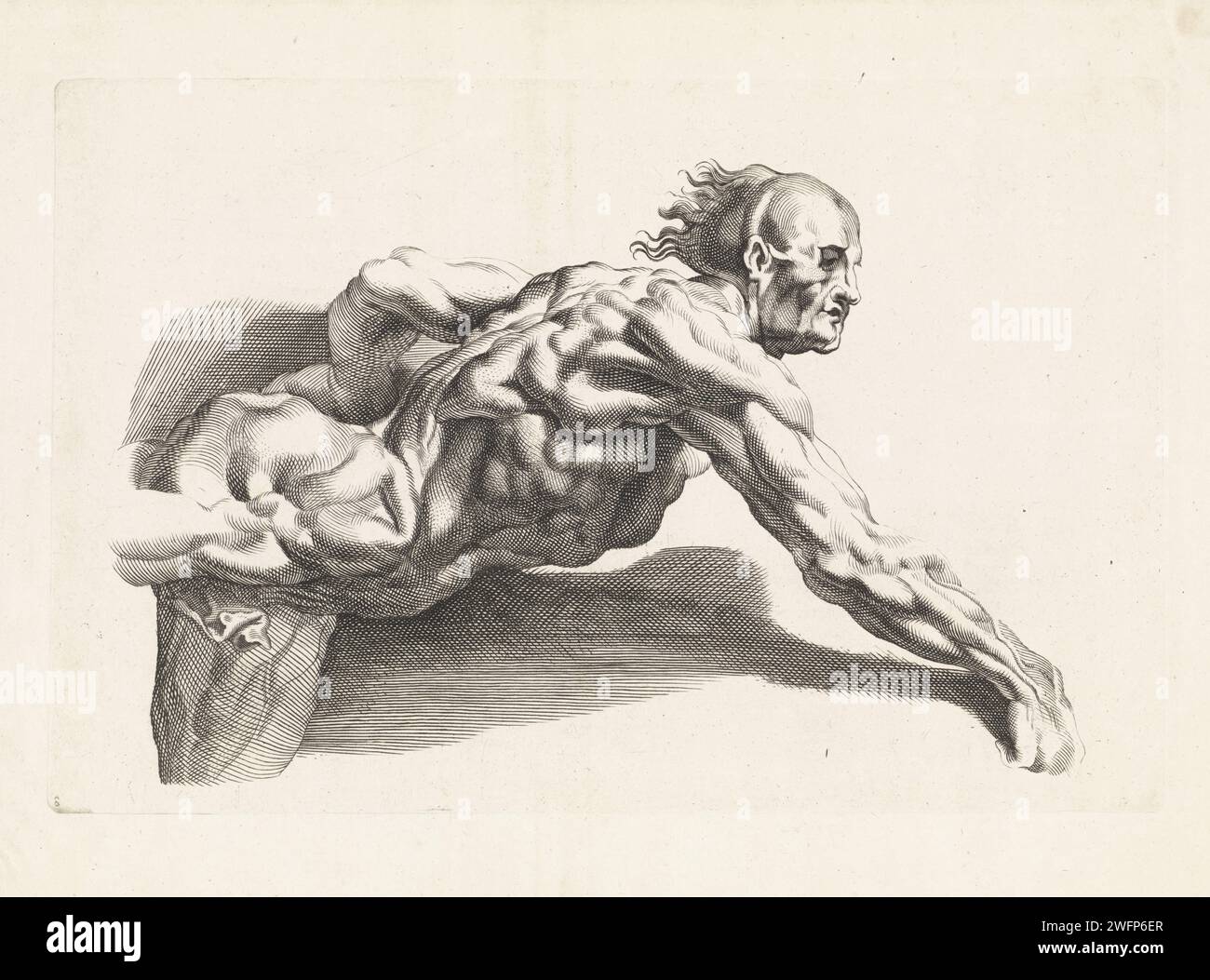 Anatomische Studie des angelehnten Menschen, Paulus Pontius, nach Peter Paul Rubens, 1616 - 1657 Druck Antwerpener Papier Gravur von Teilen des menschlichen Körpers (Skelett ausgenommen) Stockfoto