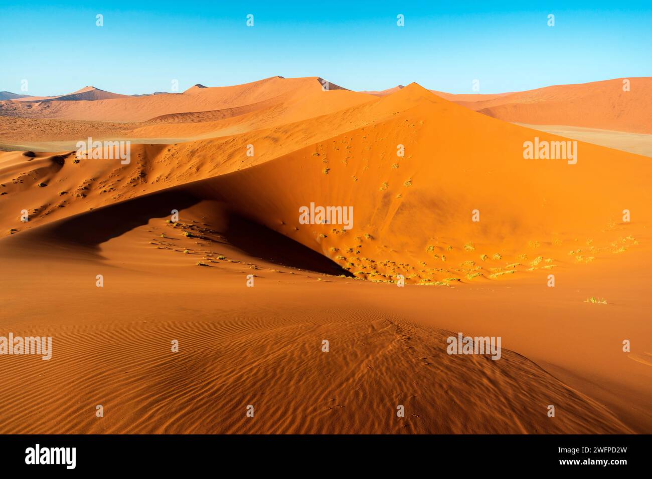 Rote Sanddünen im Sossusvlei-Tal in Namibia Stockfoto