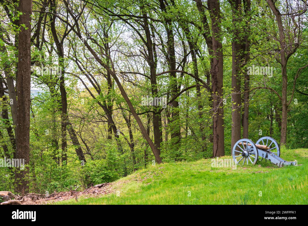 Einige Nachbildungen von Kanonen im Valley Forge National Historical Park, im Lager des Unabhängigkeitskrieges nordwestlich von Philadelphia in Pennsylvania, USA Stockfoto