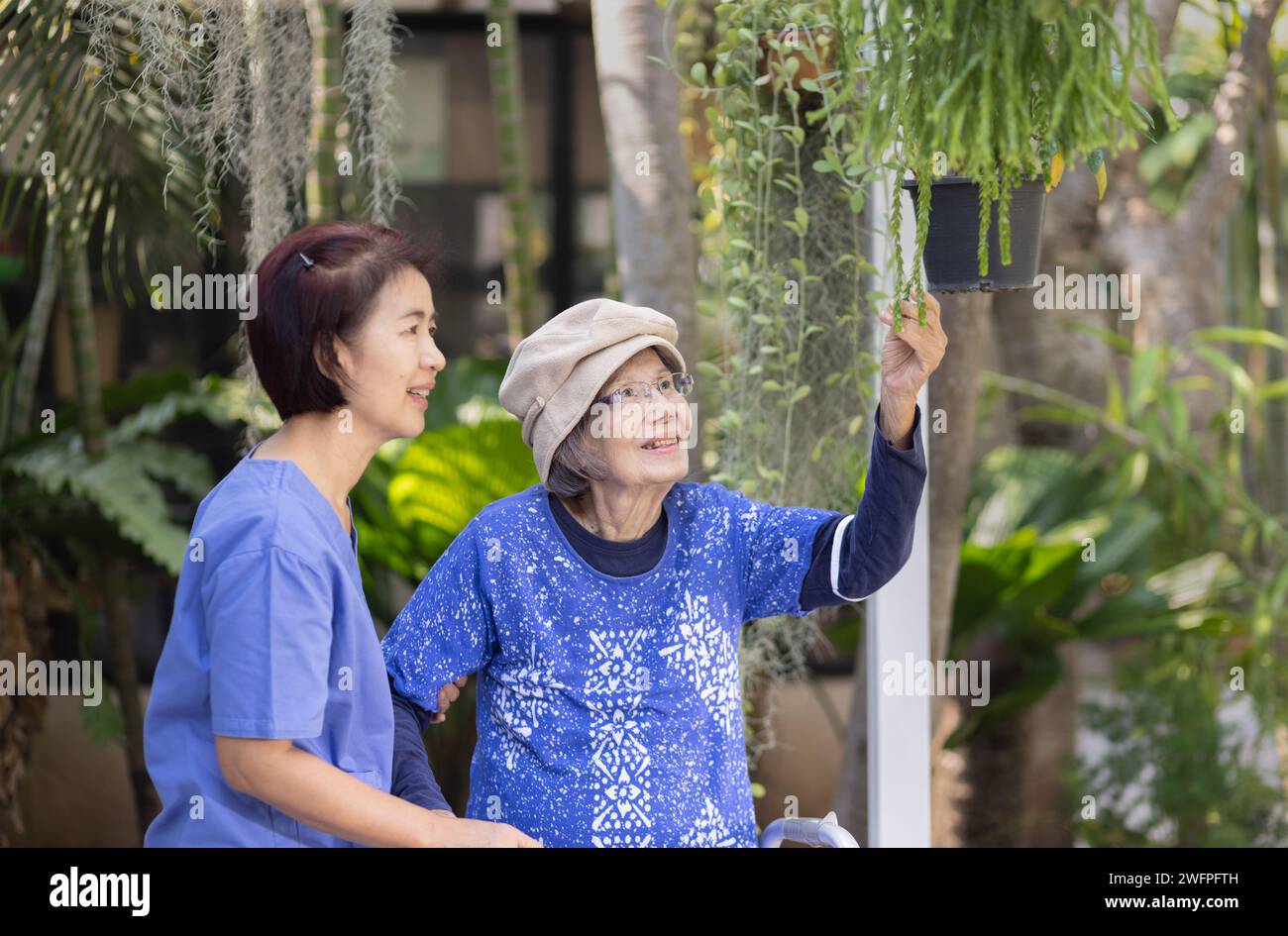 Gartentherapie in der Demenzbehandlung älterer Frauen. Stockfoto