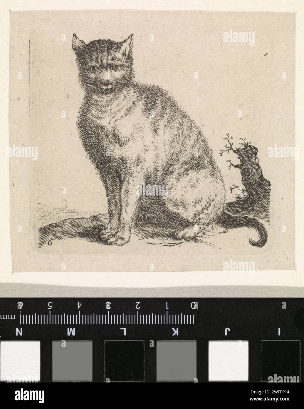 Sitze Poes, Cornelis Saftleven, 1617 - 1681 Druckpapier ätzende Katze Stockfoto