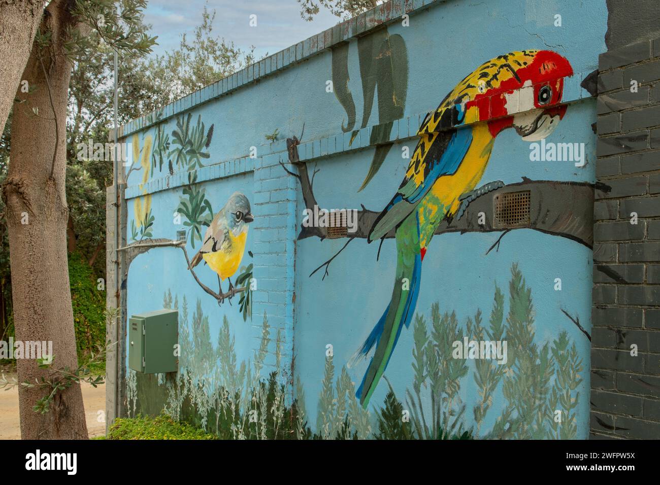 Einheimische Vögel Street Art, Mount Martha, Victoria, Australien Stockfoto