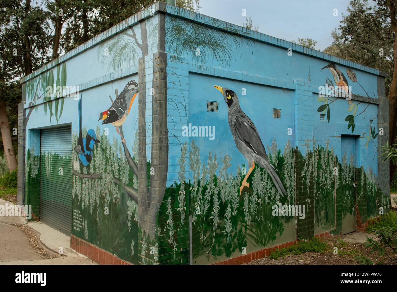 Einheimische Vögel Street Art, Mount Martha, Victoria, Australien Stockfoto