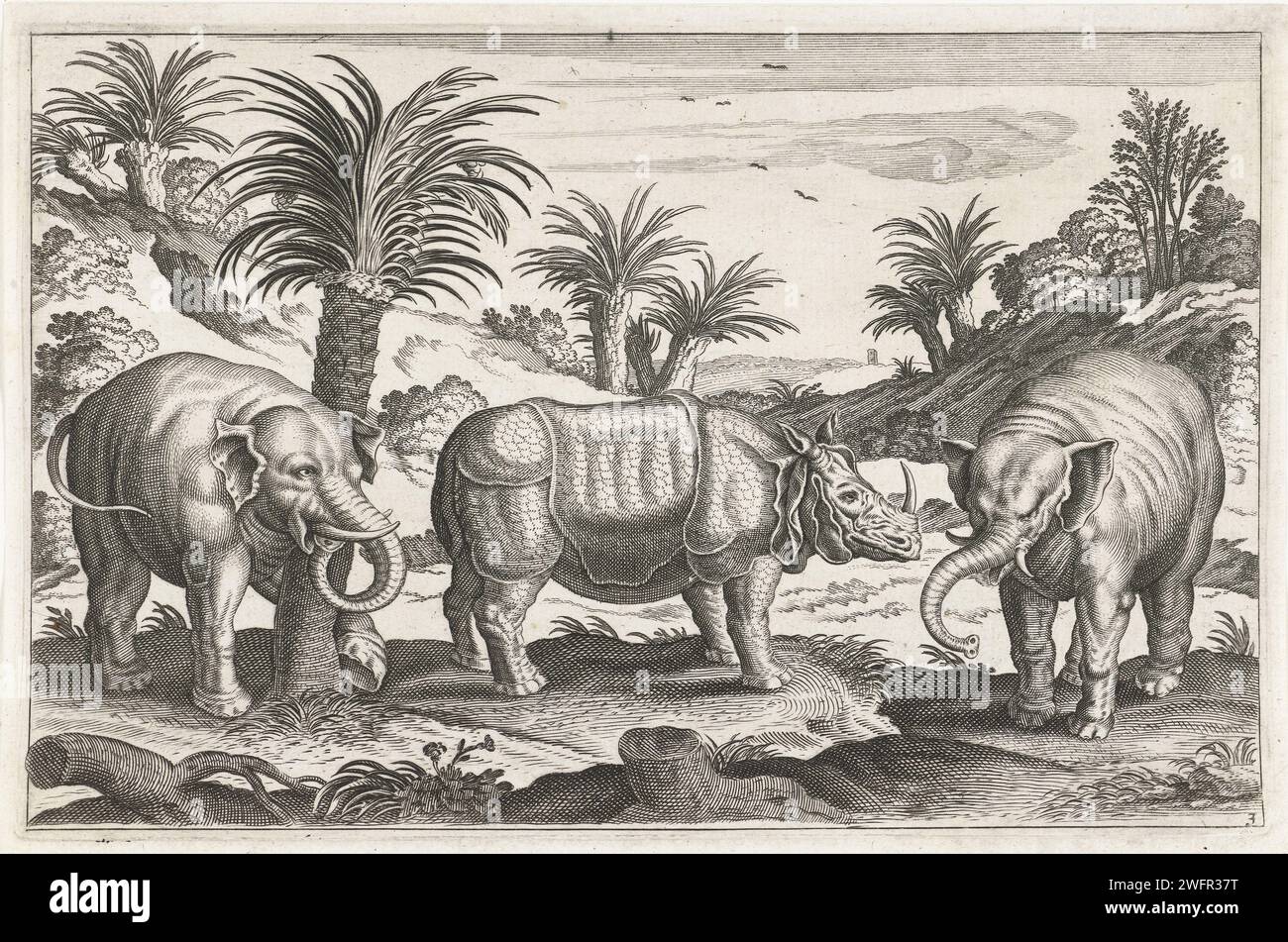 Elefanten und Nashörner, Anonym, nach Adriaen Collaert, 1628–1679 drucken im Vordergrund ein Nashorn und zwei Elefanten. Eine Landschaft im Hintergrund. Der Druck ist Teil einer Serie mit Tieren als Motiv. Druckerei: Unbekannt Design von: Antwerpen: Amsterdam Papiergravur / Ätzung Huftiere: Nashörner. Stammtiere: Elefant Stockfoto