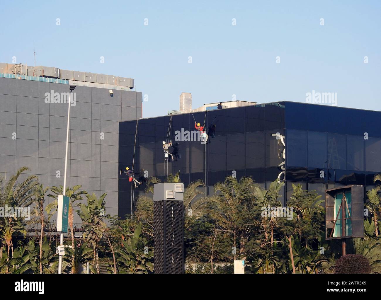 Kairo, Ägypten, 23. Januar 2024: Wartung und Reinigung des Außenbereichs eines Gebäudes, Glasreinigung durch Arbeiter an Drähten, um Reinigungsservice durch zu erbringen Stockfoto