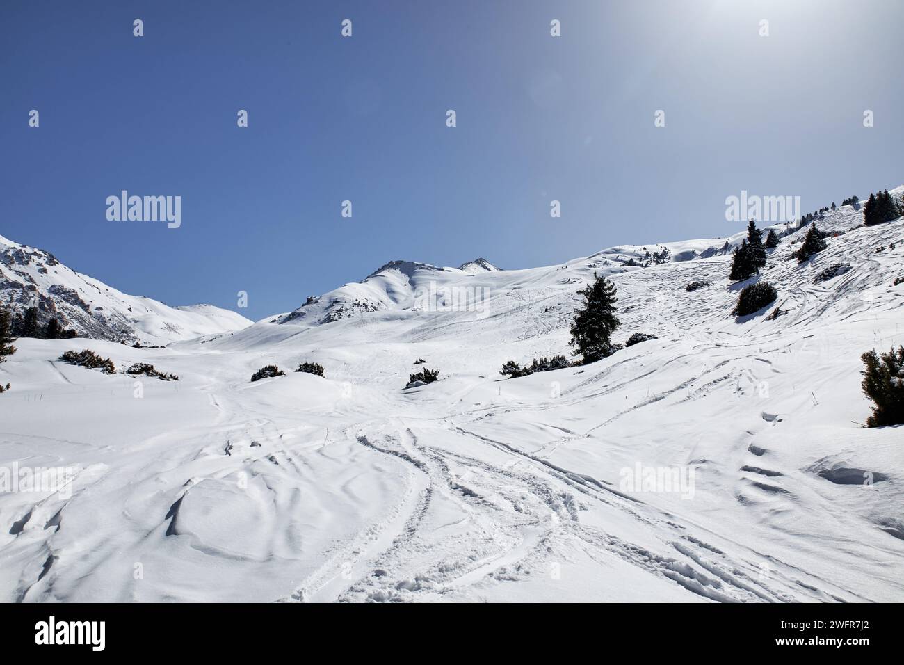 Spuren von Skiern und Snowboards im Schnee, auf der Freeridepiste Karakol Skigebiet. Berghang, Winterlandschaft, Kirgisistan. Sonniger Tag in Kirgisisch Stockfoto
