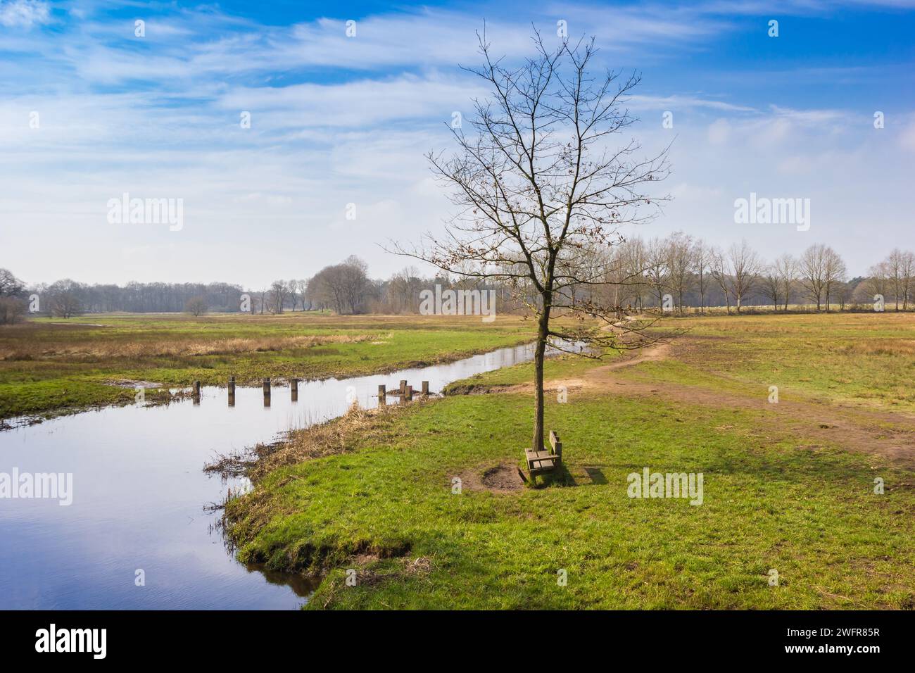 Bank am Flussufer der Drentse AA in Oudemolen, Niederlande Stockfoto