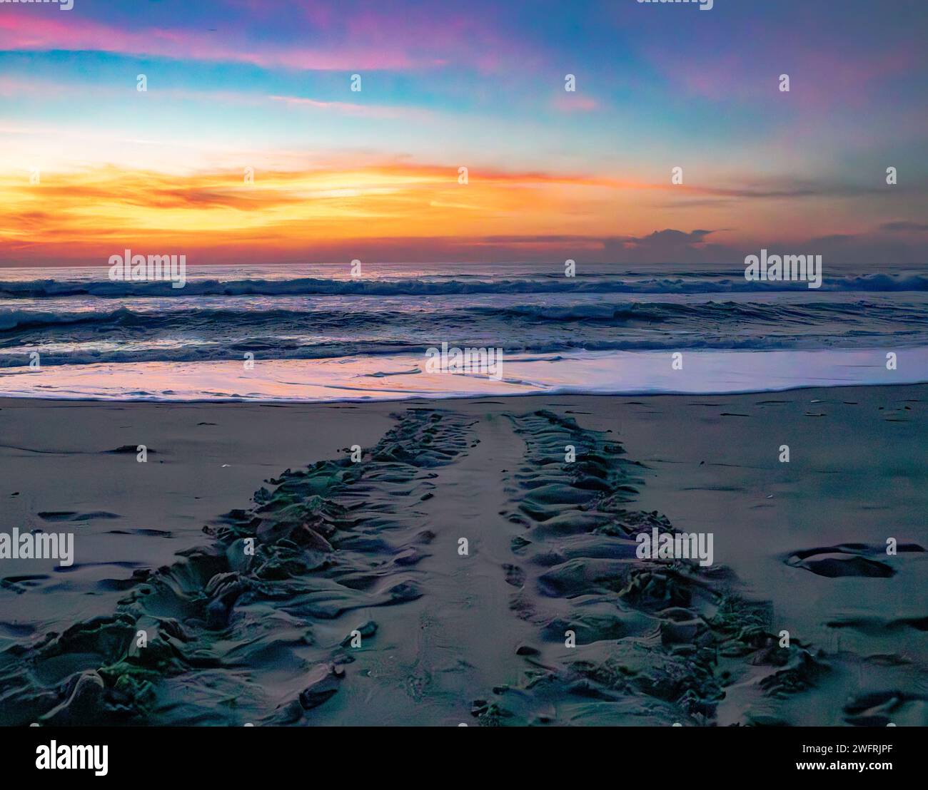 Schildkrötenbahnen bei Sonnenaufgang Stockfoto