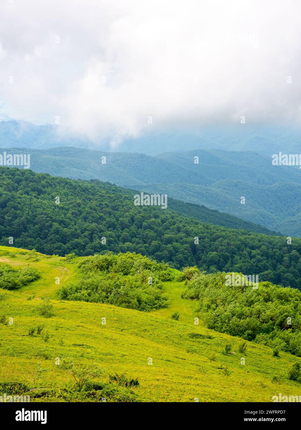 Kaprathische Berglandschaft im Sommer. Grüne Wiesen und bewaldete Hügel des ukrainischen Berglandes an einem bewölkten Tag Stockfoto