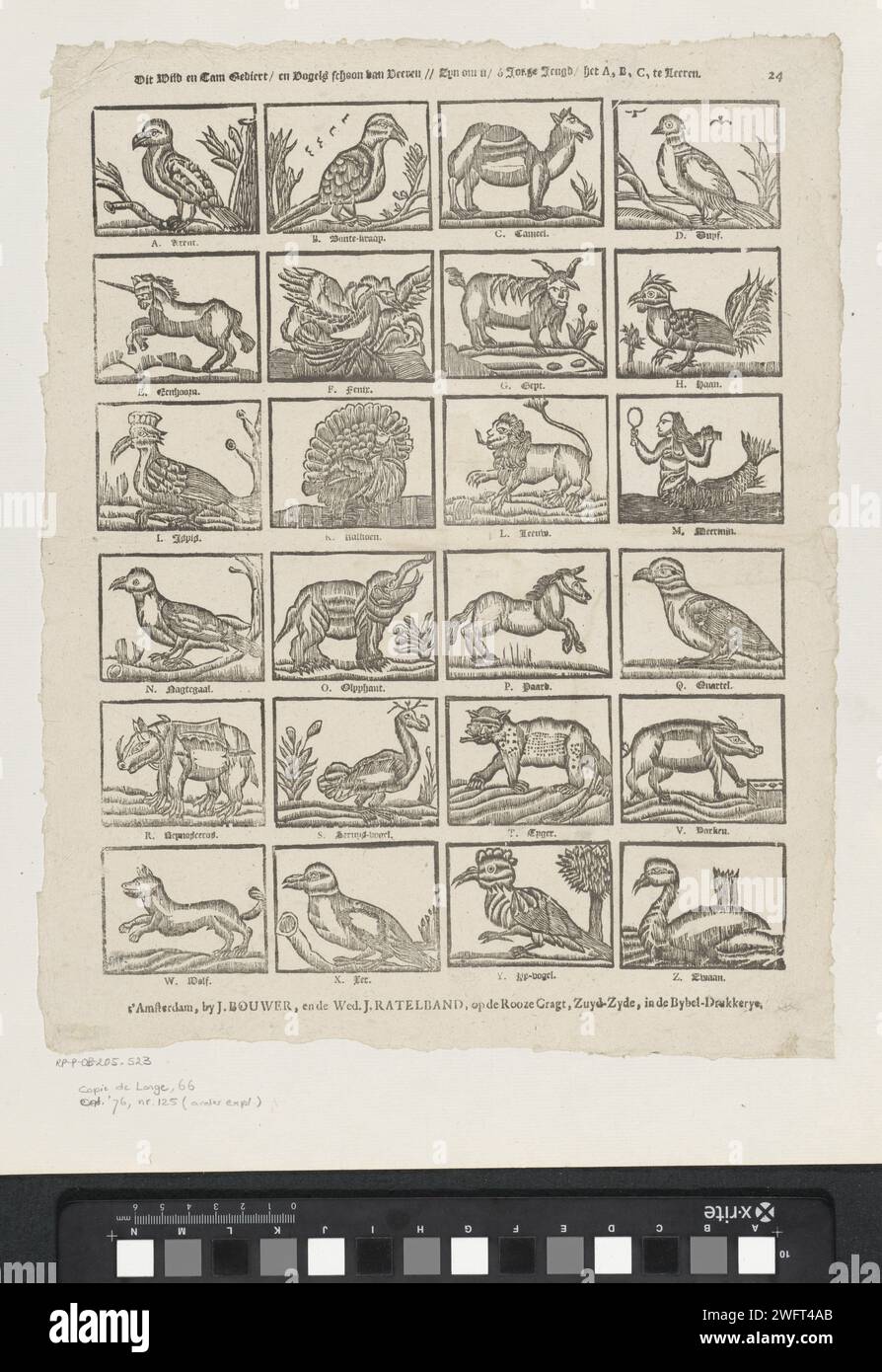 Diese wilden und zahmen Daten / und Vögel sauber von Veeren // sollen dir lernen / ô junge Jugend / A, B, C, te te te, 1794 - 1804 Print Blatt mit 24 Darstellungen der Buchstaben des Alphabets dargestellt mit Tieren, deren Namen mit dem jeweiligen Buchstaben beginnen. Eine Beschriftung unter jedem Bild. Oben rechts nummeriert: 24. Verlag: Amsterdamprint Maker: Niederlande Papier Buchdruck Tiere. Fabelhafte Tiere (manchmal fälschlicherweise „Grotesken“ genannt); „Mostri“ (Ripa). Buchstaben, Alphabet, Schrift Stockfoto
