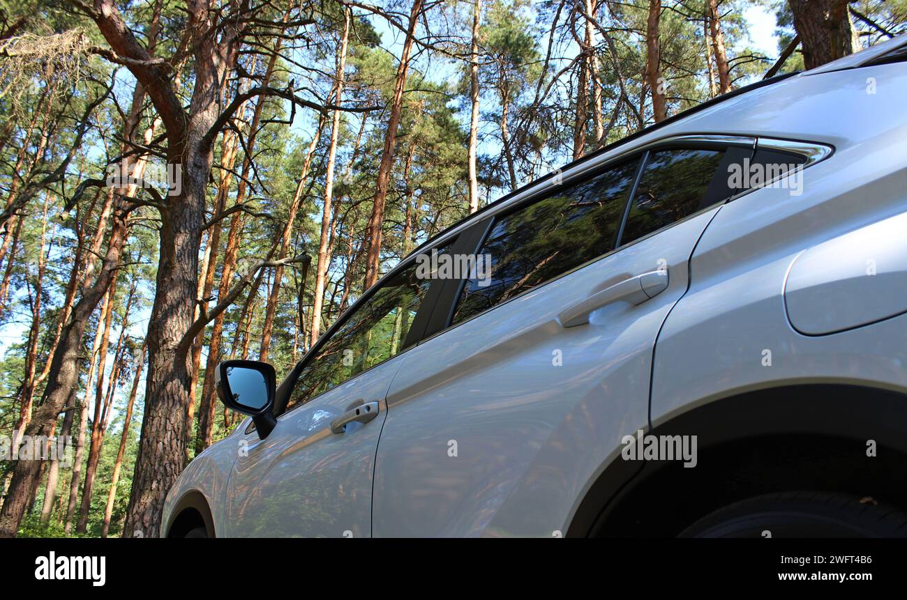 Blick von unten vom Hinterrad eines Autos in einem Kiefernwald an einem sonnigen Tag Stockfoto