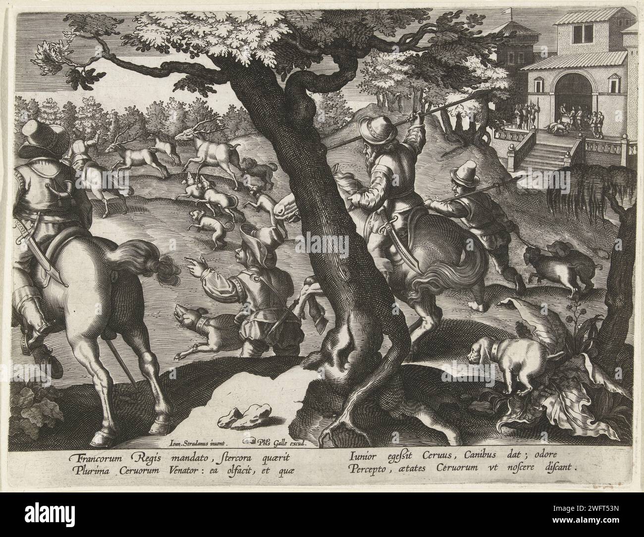 Herts-Show mit Hunden, Jan Collaert (II) (zugeschrieben), nach Jan van der Straet, 1594–1598 Druck im Vordergrund, drei Hirsche werden von Hunden und Jägern zu Pferd kontrolliert. Der Druck hat eine lateinische Unterschrift und ist Teil einer Serie über Jagdszenen. Druckerei: Antwerpen Design von: Florenzepublisher: AntwerpenAntwerpener Papierstich Hirschjagd. Jagdhunde Stockfoto