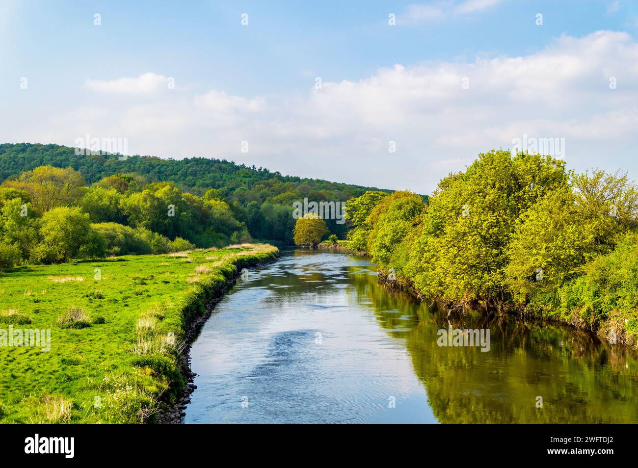 Hopwas Woods und der Fluss zähmen Stockfoto