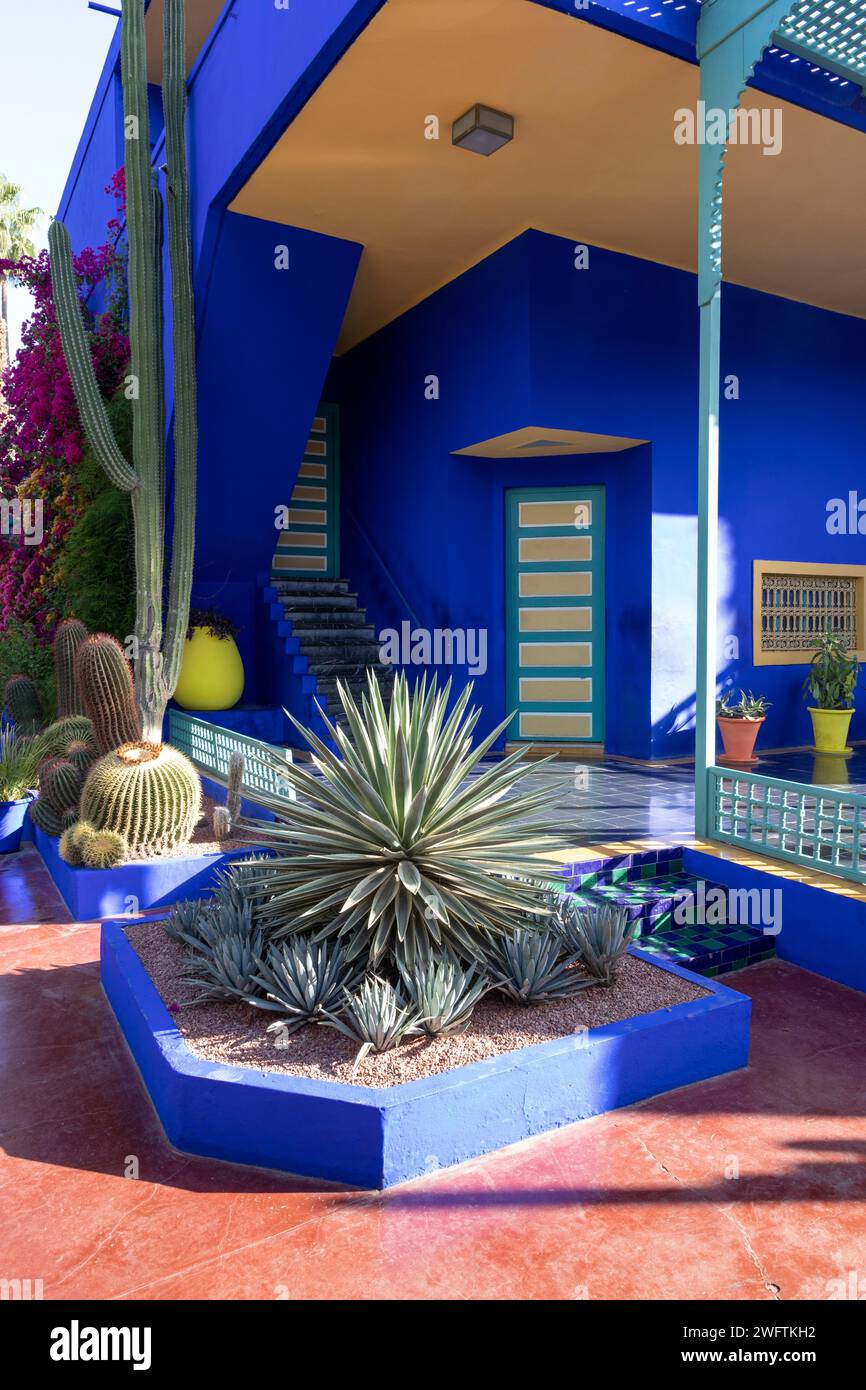 Nordafrika Marokko Marrakesch Marrakesch Yves Saint Laurent Garten Jardin Majorelle Blick auf Studio und Kakteen Sammlung Kobaltblau Gebäude Stockfoto