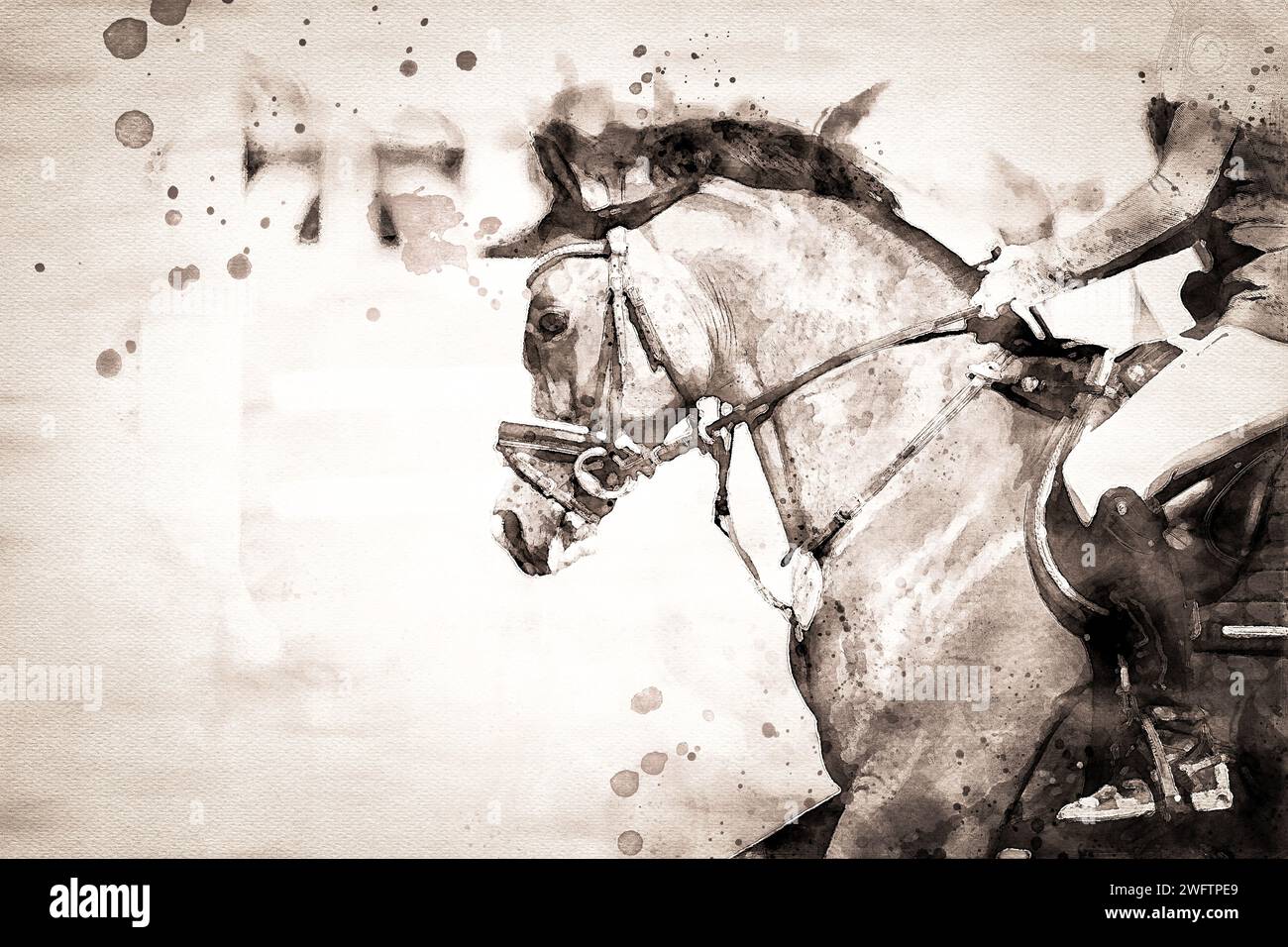 Bleistiftzeichnungen eines im Sport bewegten Pferdes, Nahaufnahmen, stilistisch abstrakt. Stockfoto