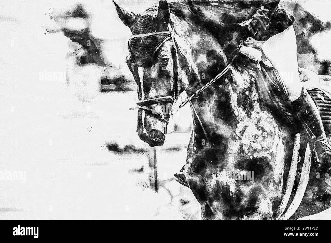 Bleistiftzeichnungen eines im Sport bewegten Pferdes, Nahaufnahmen, stilistisch abstrakt. Stockfoto