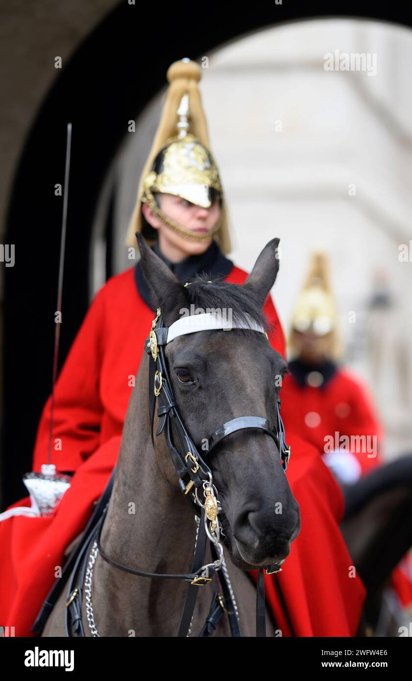 London, Großbritannien. Pferd der Haushalts-Kavallerie (Rettungsschwimmer) im Dienst am Eingang der Pferdewache Stockfoto