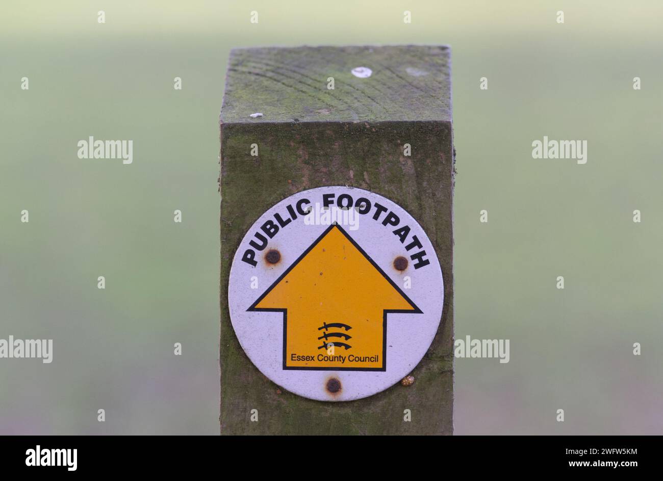 Holzpfosten mit kreisförmigem Schild, das die Richtung eines öffentlichen Fußwegs anzeigt, geradeaus, markiert durch einen Pfeil nach oben Stockfoto