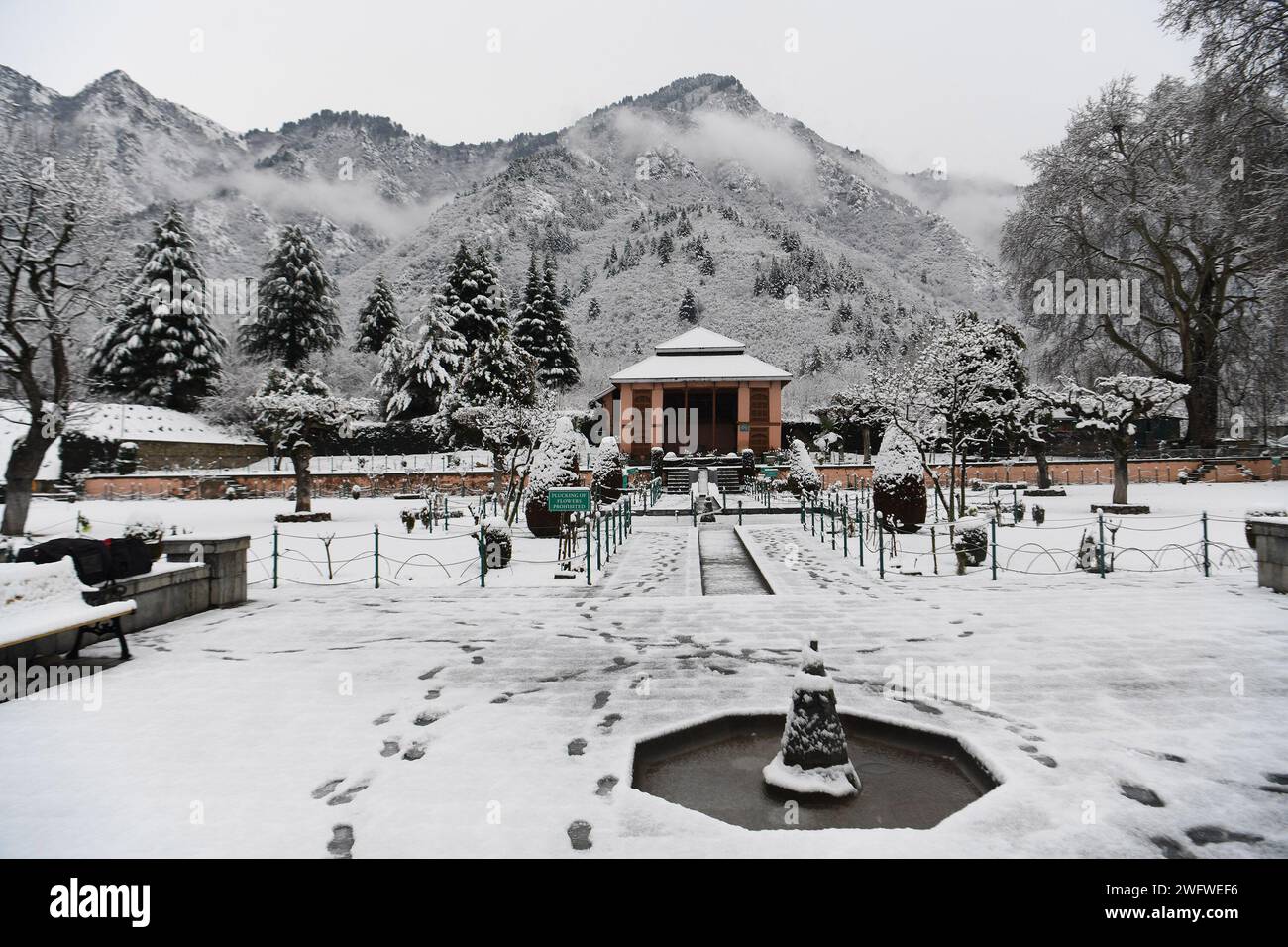 Neuschnee in den höheren Bergen des Kaschmir-Tals hat einen der längsten Trockenheitszeiten von rund zwei Monaten dieser Saison durchbrochen. Ein neuer Schneefall hat Einheimische und Touristen gleichermaßen angefeuert. Die Wirtschaft des Bundesstaates ist stark von der Tourismusbranche abhängig, und der Schneefall nach langer Wartezeit dürfte Touristen in das glitzernde Silbertal locken. Kaschmir, Indien. Stockfoto