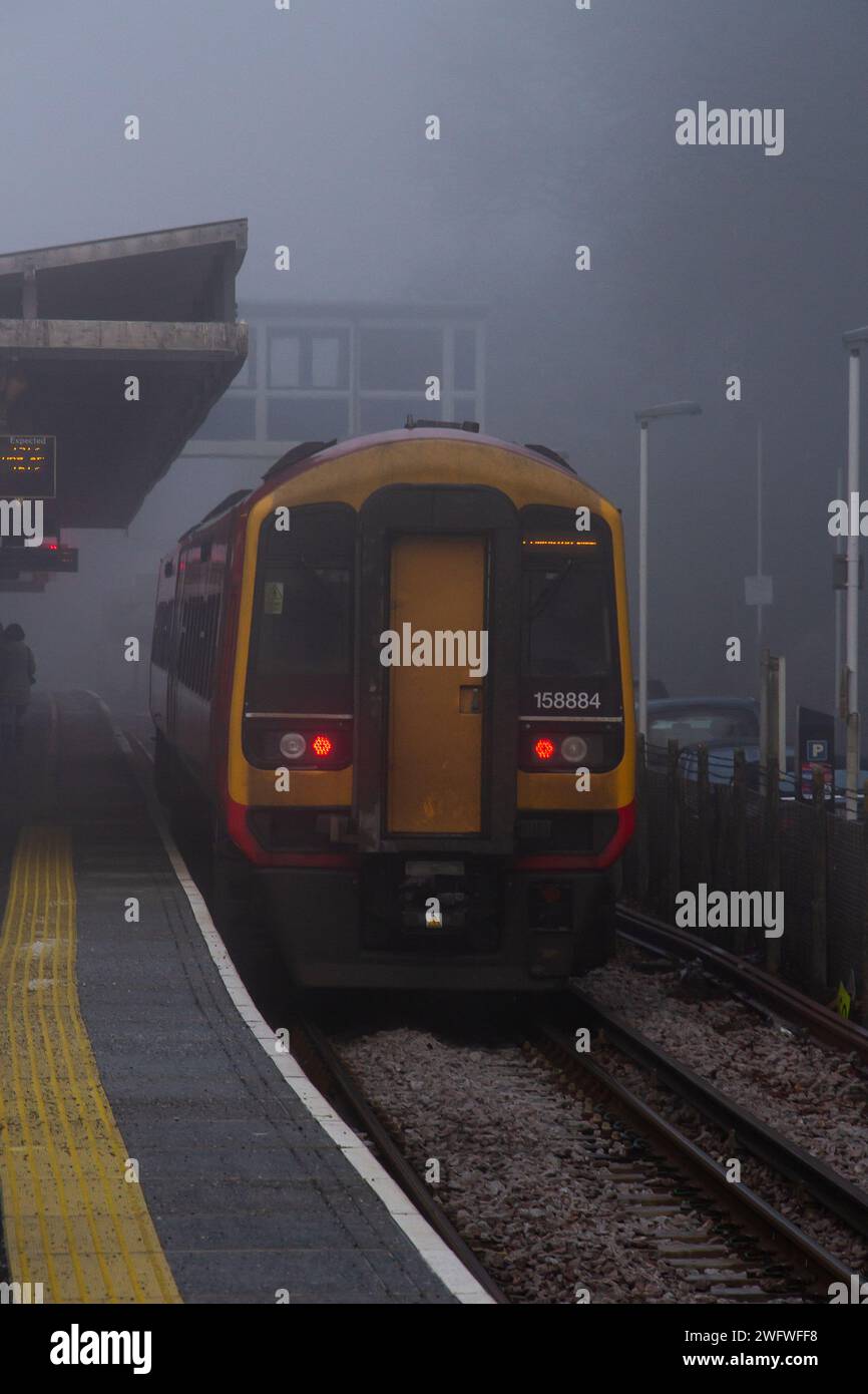 Ein nebeliger Tag im New Forest am Bahnhof Brockenhurst Stockfoto