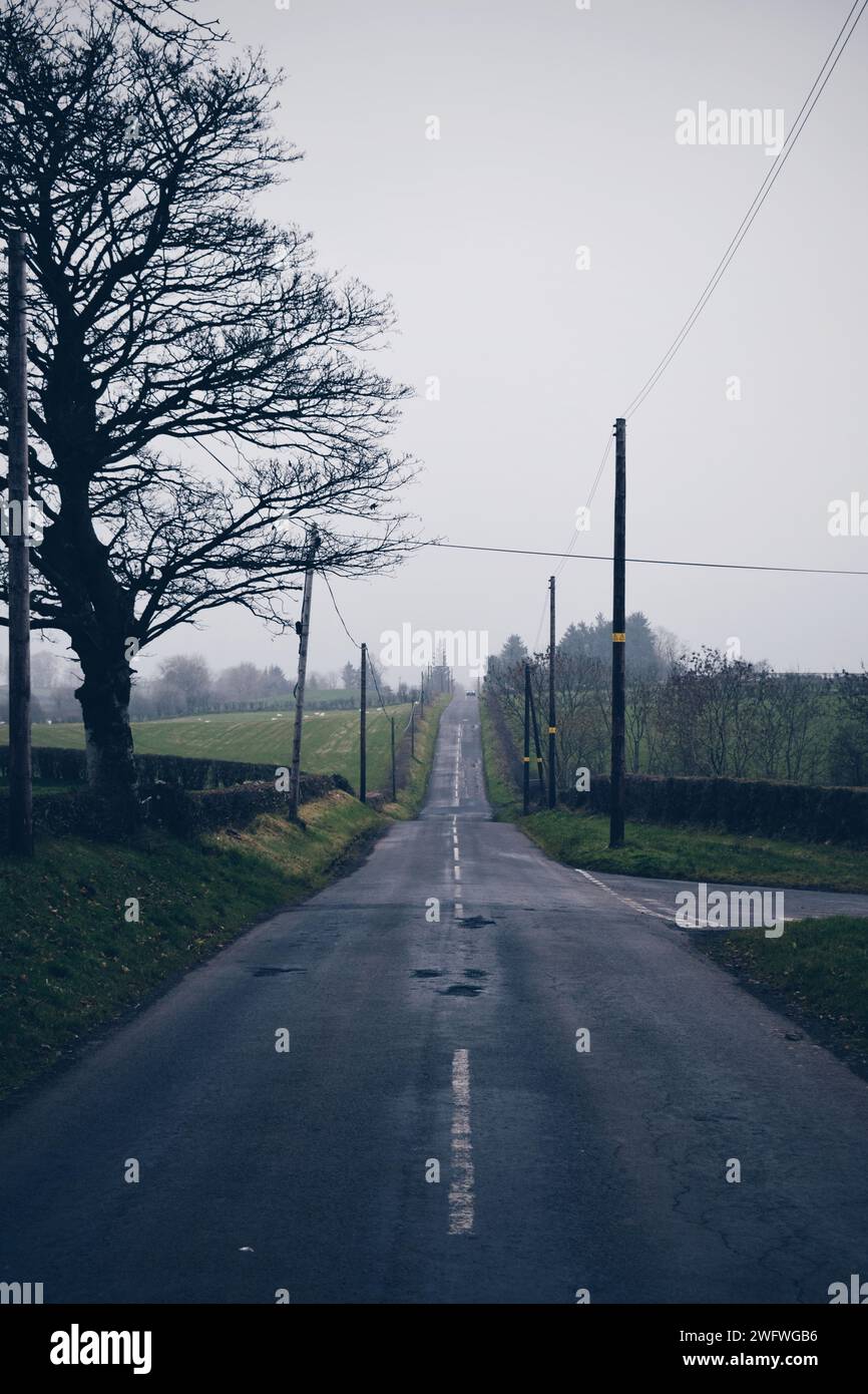 Nebenstraße umgeben von Wäldern in Nordirland, am 19. November 2019 Stockfoto