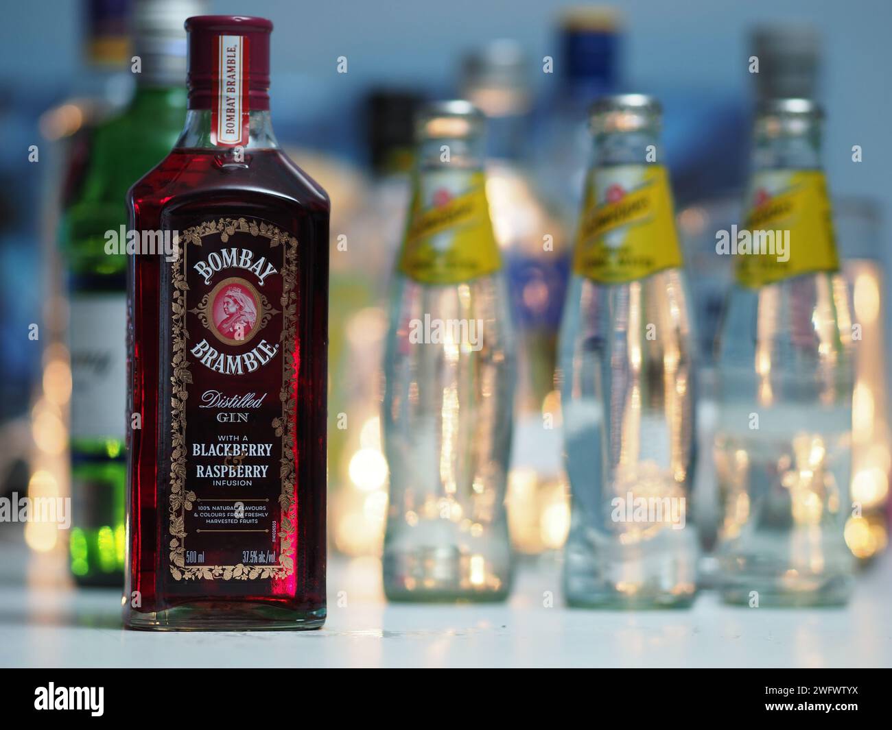 Deutschland. Februar 2024. In dieser Fotoabbildung wird eine Flasche Bombay Bramble destillierter Gin mit brombeeraufguss und Himbeeraufguss in einer Bar dargestellt. Credit: SOPA Images Limited/Alamy Live News Stockfoto