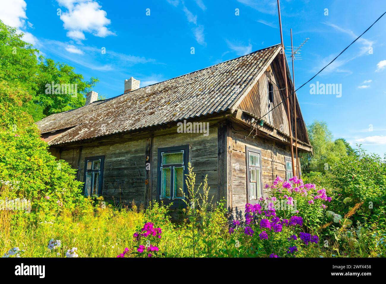 Ein altes verlassenes Holzhaus in der abgelegenen Landschaft in Weißrussland. Es gibt viele Blumen in einem Garten um das Haus herum. Stockfoto