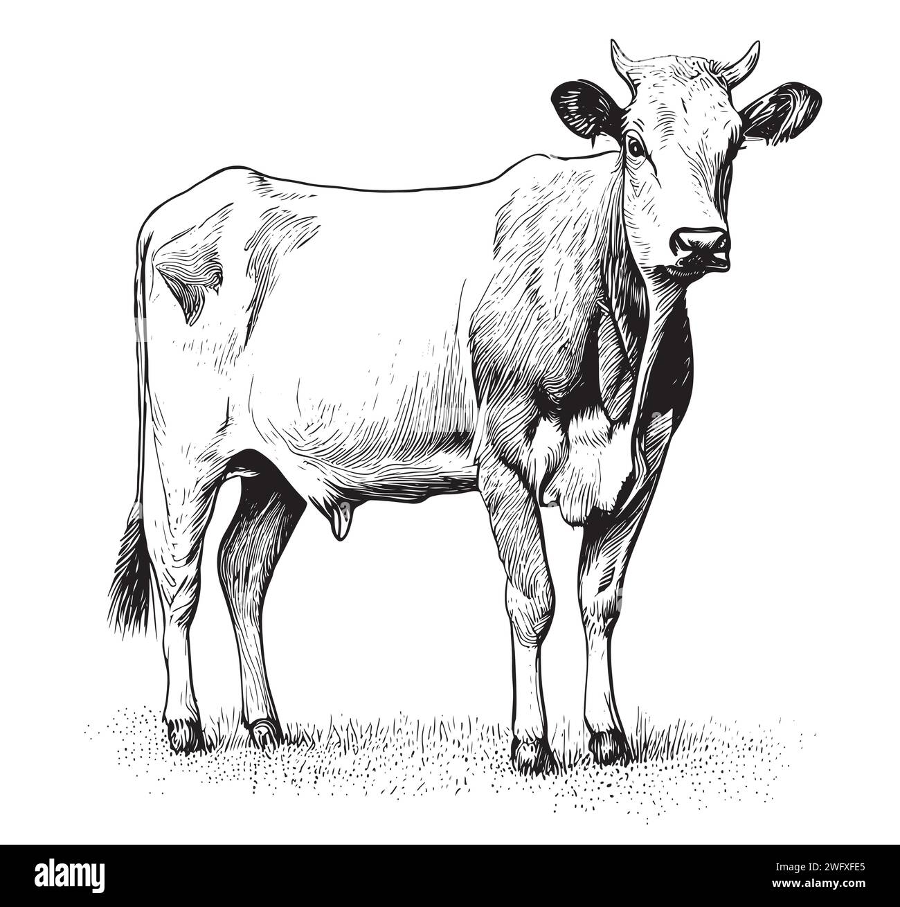 Kuh steht Skizze Gravur Illustrationsstil Hand gezeichneter Vektor Stock Vektor