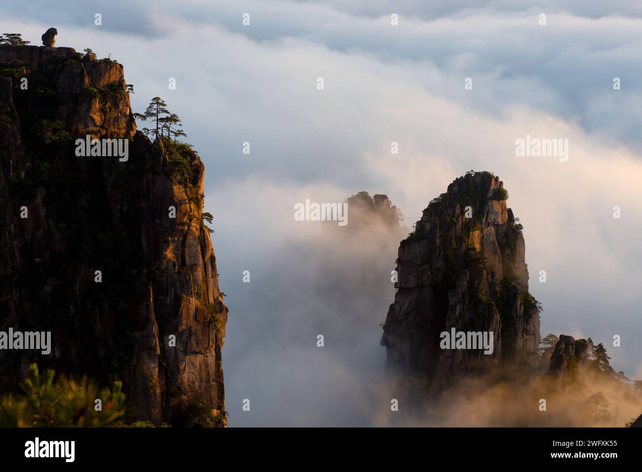 Steinaffe Blick auf das Wolkenmeer im Nordseegebiet der Huangshan Yellow Mountains. Stockfoto