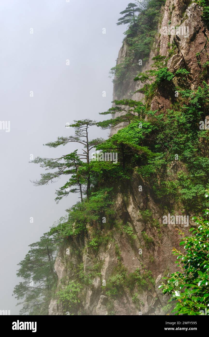 Wolken schweben auf der zweiten Ringstraße im Westsee (Xihai) Grand Canyon der Huangshan Yellow Mountains. Stockfoto