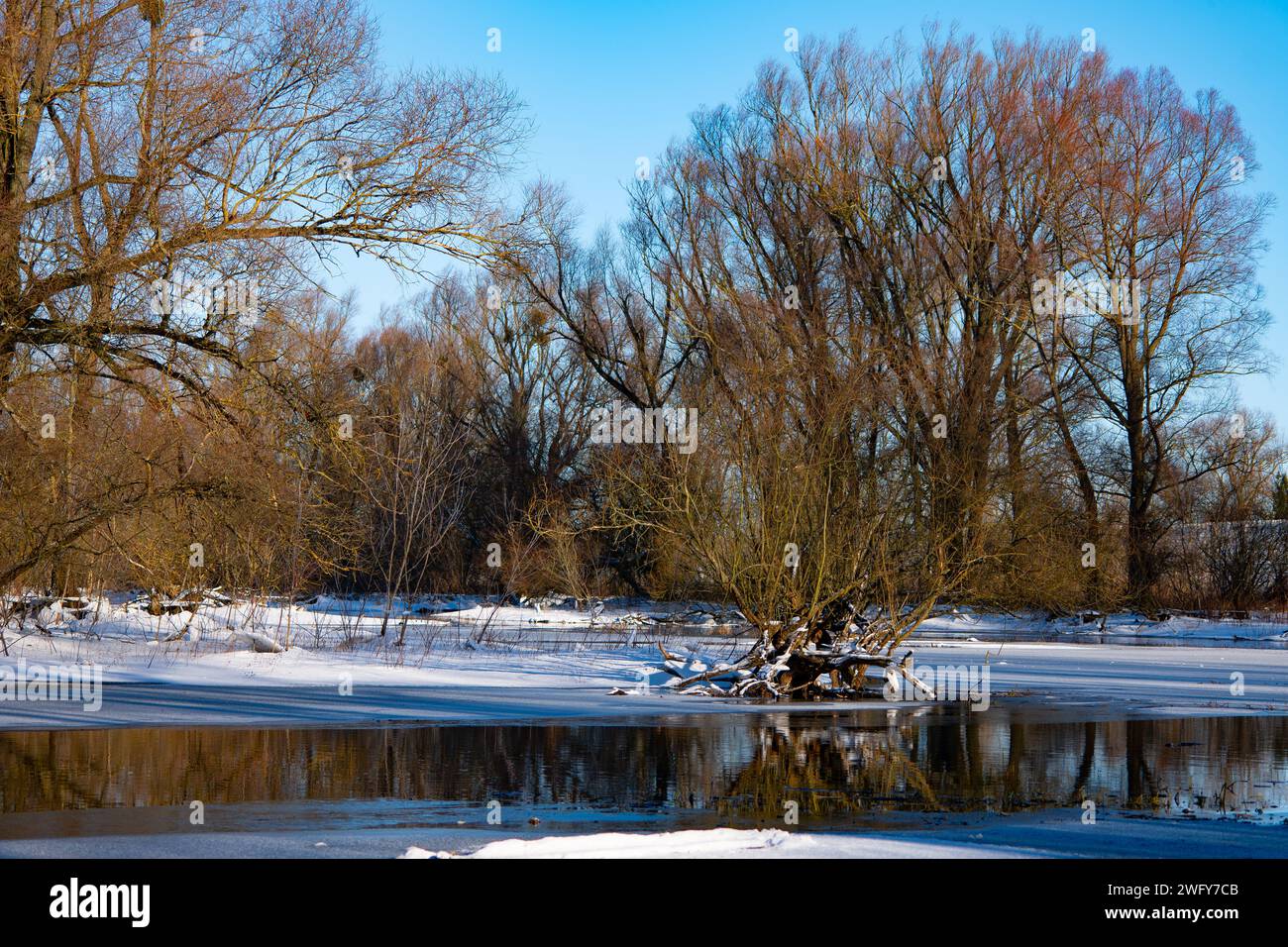Winterlandschaft, Fluss Narew in Polen Stockfoto
