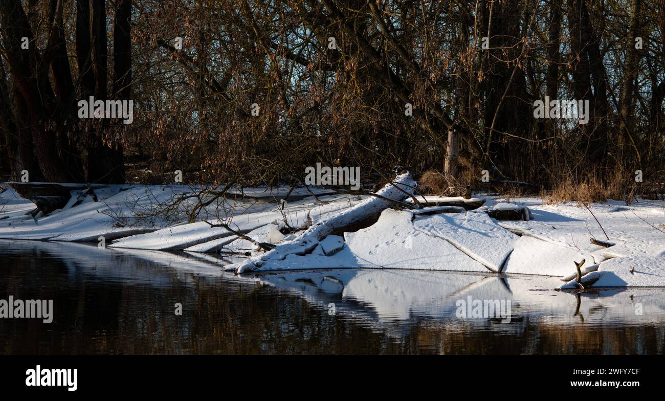 Winterlandschaft, Fluss Narew in Polen Stockfoto