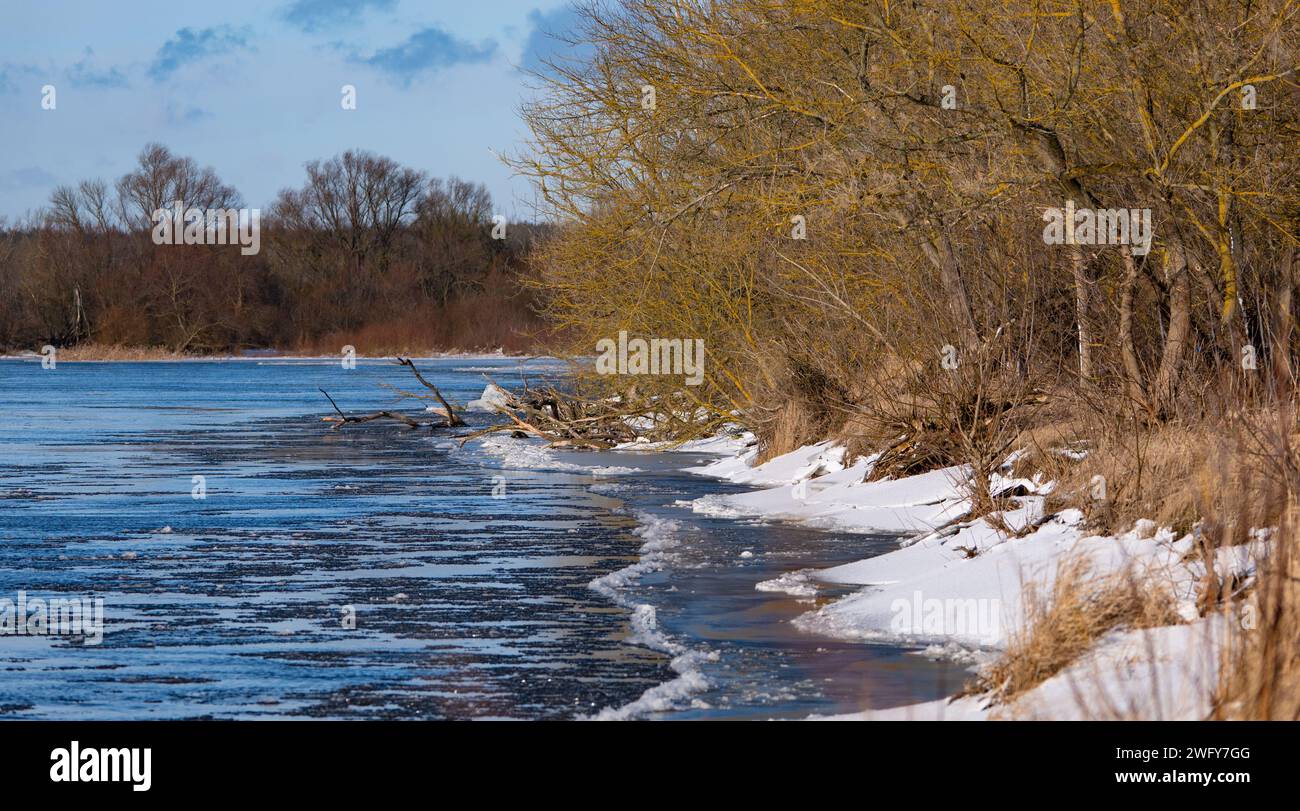 Winterlandschaft. Der Fluss Narew in Polen Stockfoto