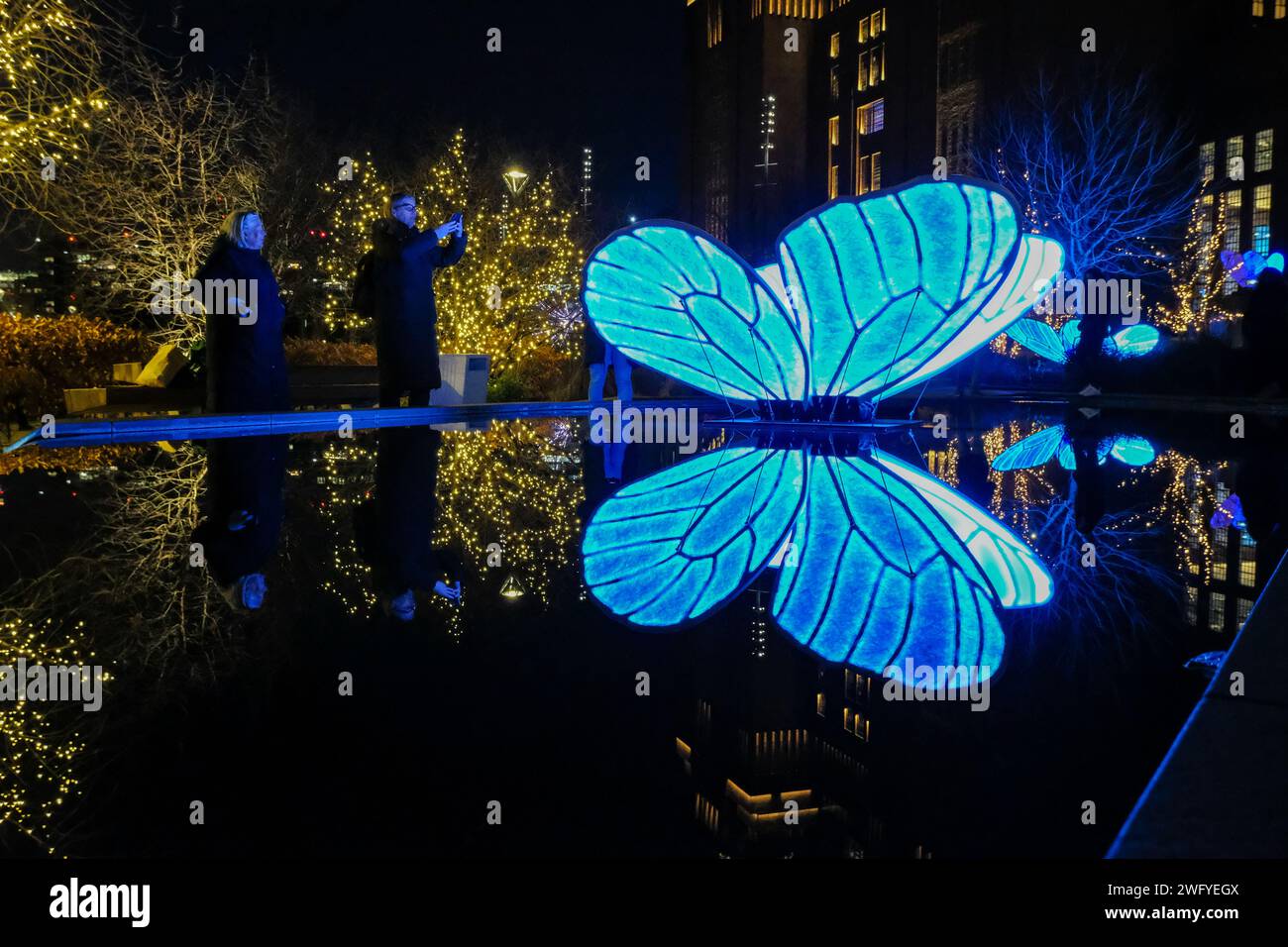 London, UK, 1. Februar 2024. Die Installation „Butterfly Effect“ des Künstlers Masamichi Shimada ist eines von sieben Stücken auf dem Lichtfestival der Battersea Power Station dieses Jahr vom 25. Januar bis 25. Februar. Die sechs großen blauen Schmetterlinge sitzen auf einem Wasserspiel und erzeugen nach Einbruch der Dunkelheit schöne Reflexe. Quelle: Eleventh Photography/Alamy Live News Stockfoto
