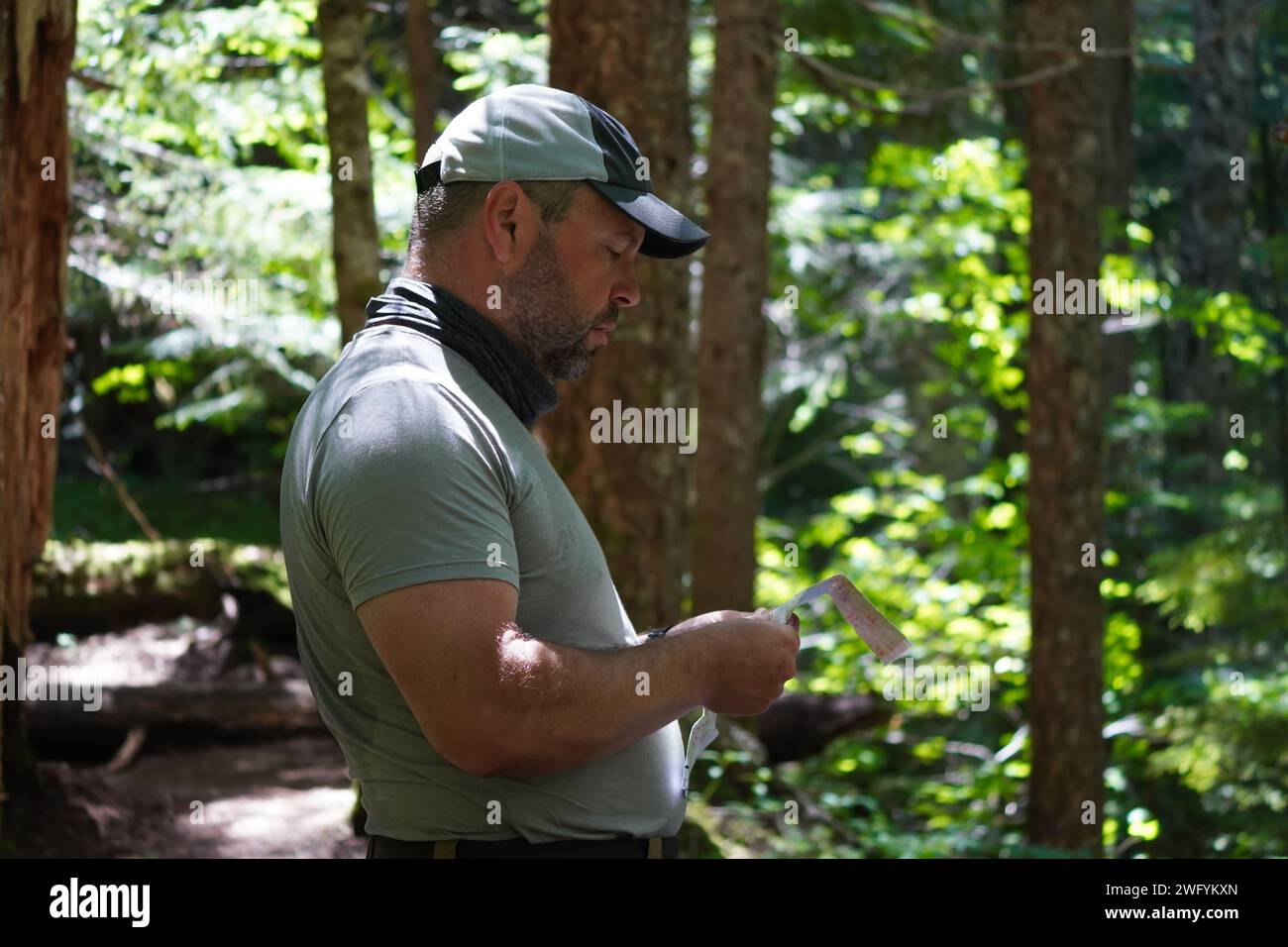 Seitenansicht eines Mannes im Alter von 50 Jahren, der seine Wanderkarte gelesen hat, während er auf dem Timberline Trail in Oregon durch einen Wald wandert. Stockfoto