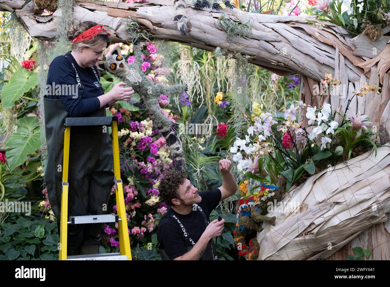 Orchid Festival in Kew Gardens. Die lebendige Orchideenflora Madagaskars bildet dieses Jahr das Festival im Princess of Wales Conservatory. Stockfoto