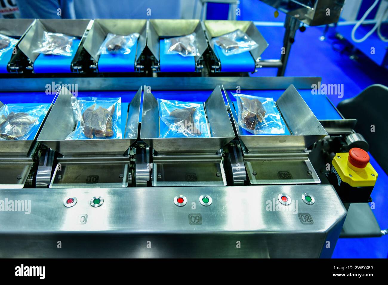 Automatische Produktionslinie für getrocknete Fischfleischprodukte an Förderbandanlagen im Werk Stockfoto