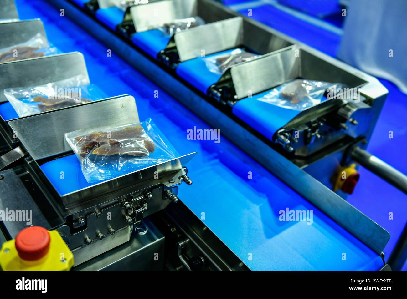 Automatische Produktionslinie für getrocknete Fischfleischprodukte an Förderbandanlagen im Werk Stockfoto