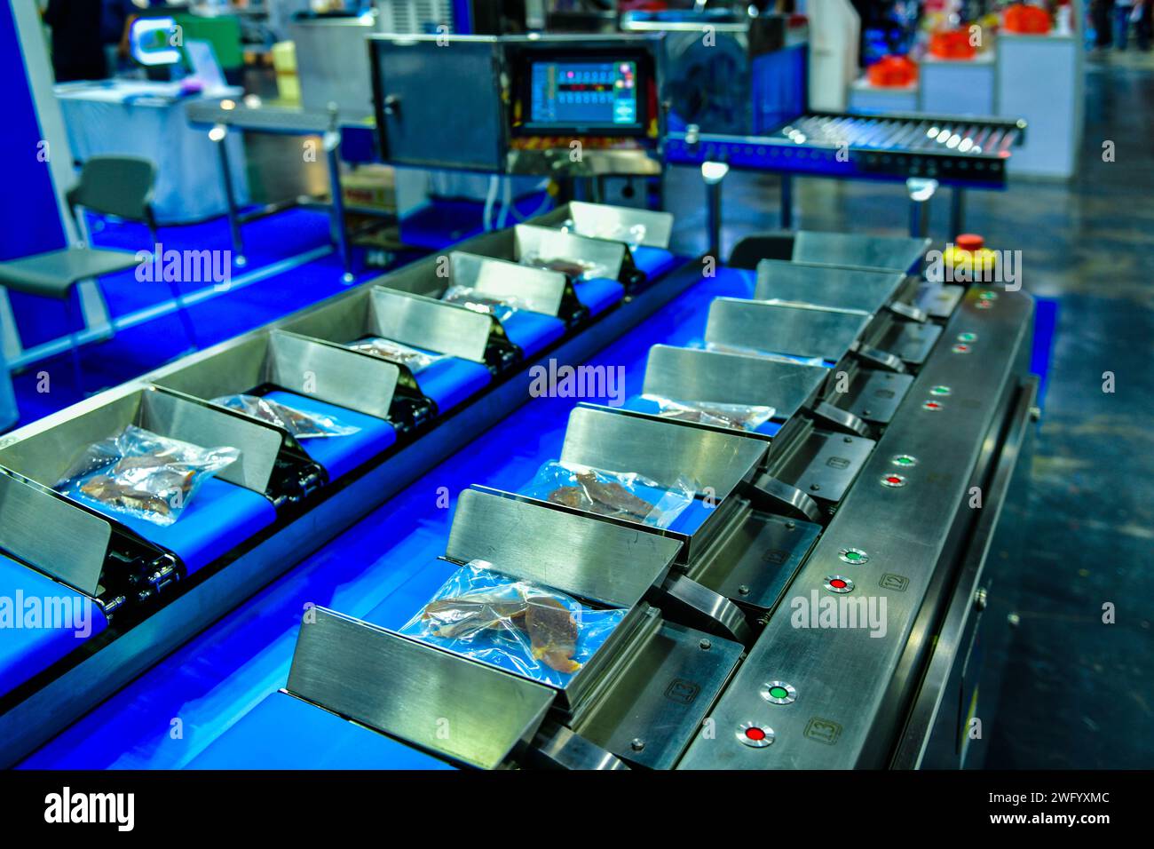 Automatische Produktionslinie für getrocknete Fischfleischprodukte an Förderbandanlagen im Werk Stockfoto