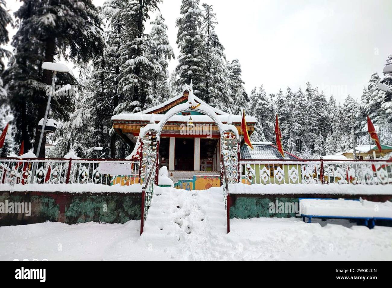 Mandi, Indien. Februar 2024. MANDI, INDIEN – 1. FEBRUAR: Jiuni-Tal des Distrikts Mandi, bedeckt mit starkem Neuschnee, am 1. Februar 2024 in Mandi, Indien. (Foto: Birbal Sharma/Hindustan Times/SIPA USA) Credit: SIPA USA/Alamy Live News Stockfoto