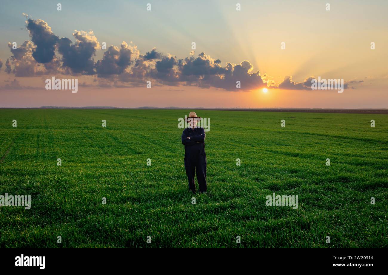 Senior Farmer, der bei Sonnenuntergang im grünen Weizenfeld steht. Stockfoto