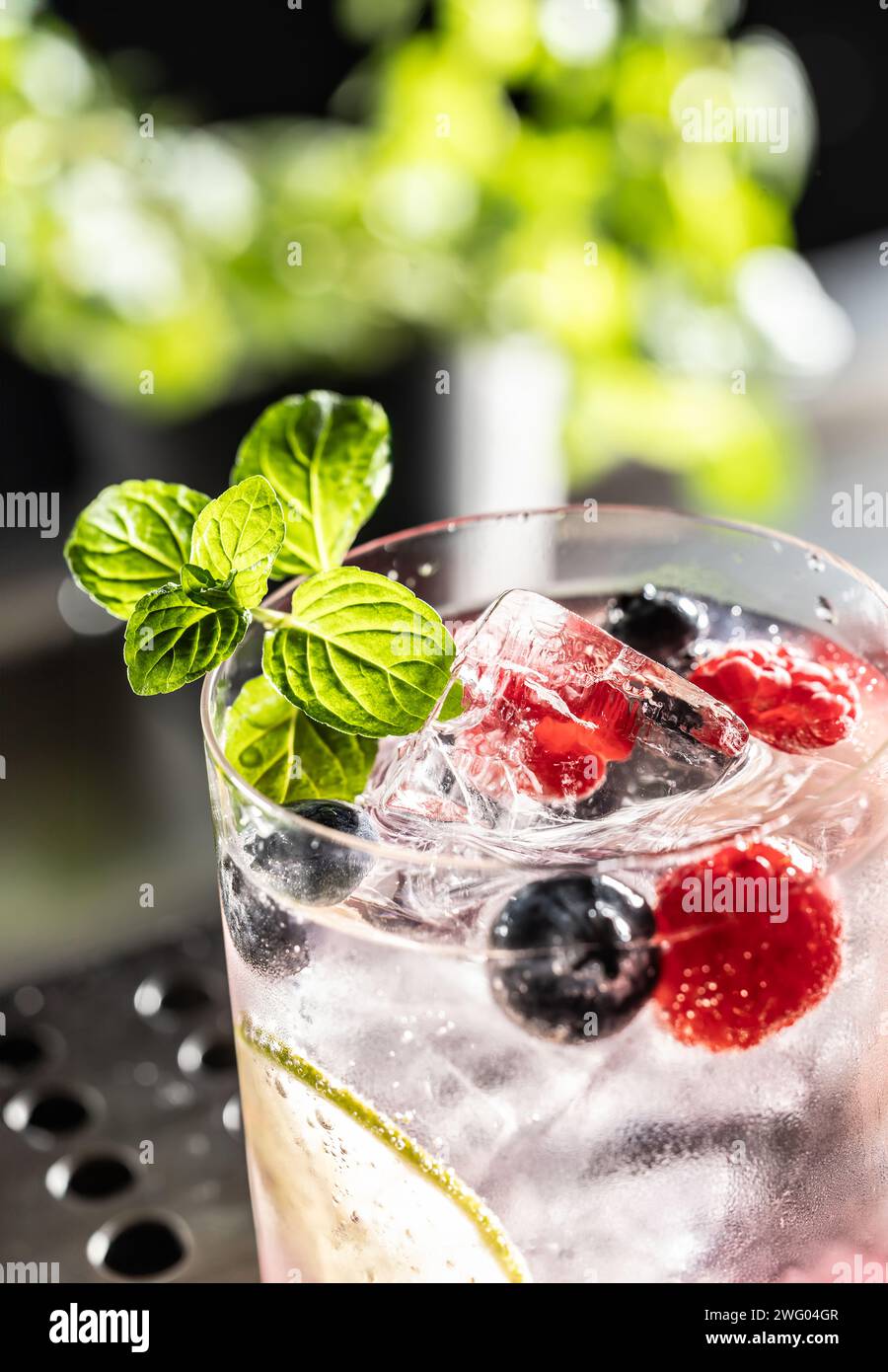 Pink Cocktail Gin Tonic Drink mit Himbeeren, Heidelbeeren, Limette und frischer Minze – Nahaufnahme. Stockfoto