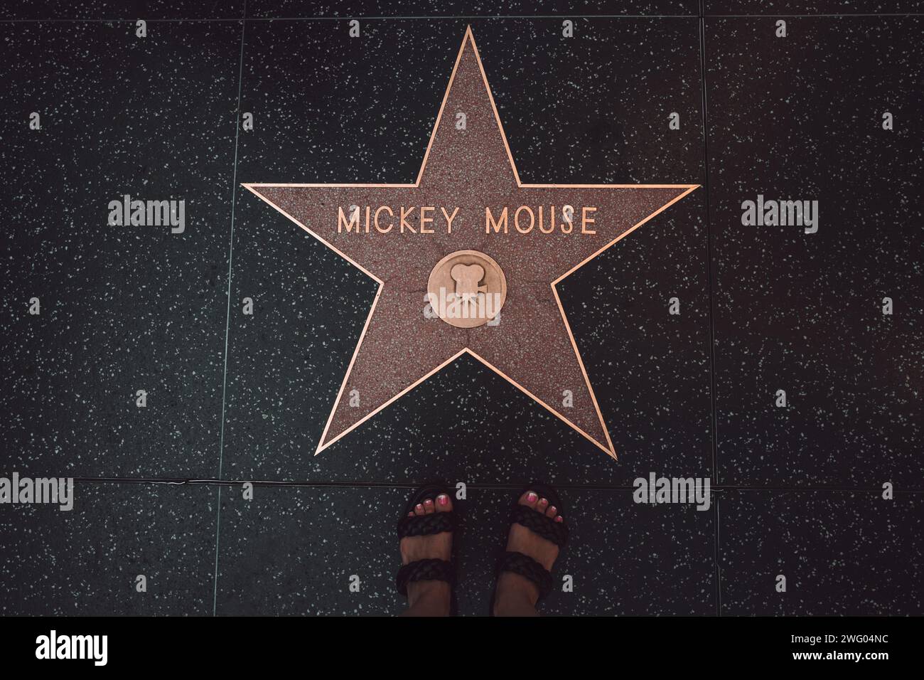 Mickey Mouse Star auf dem Walk of Fame in West Hollywood in Los Angeles Stockfoto