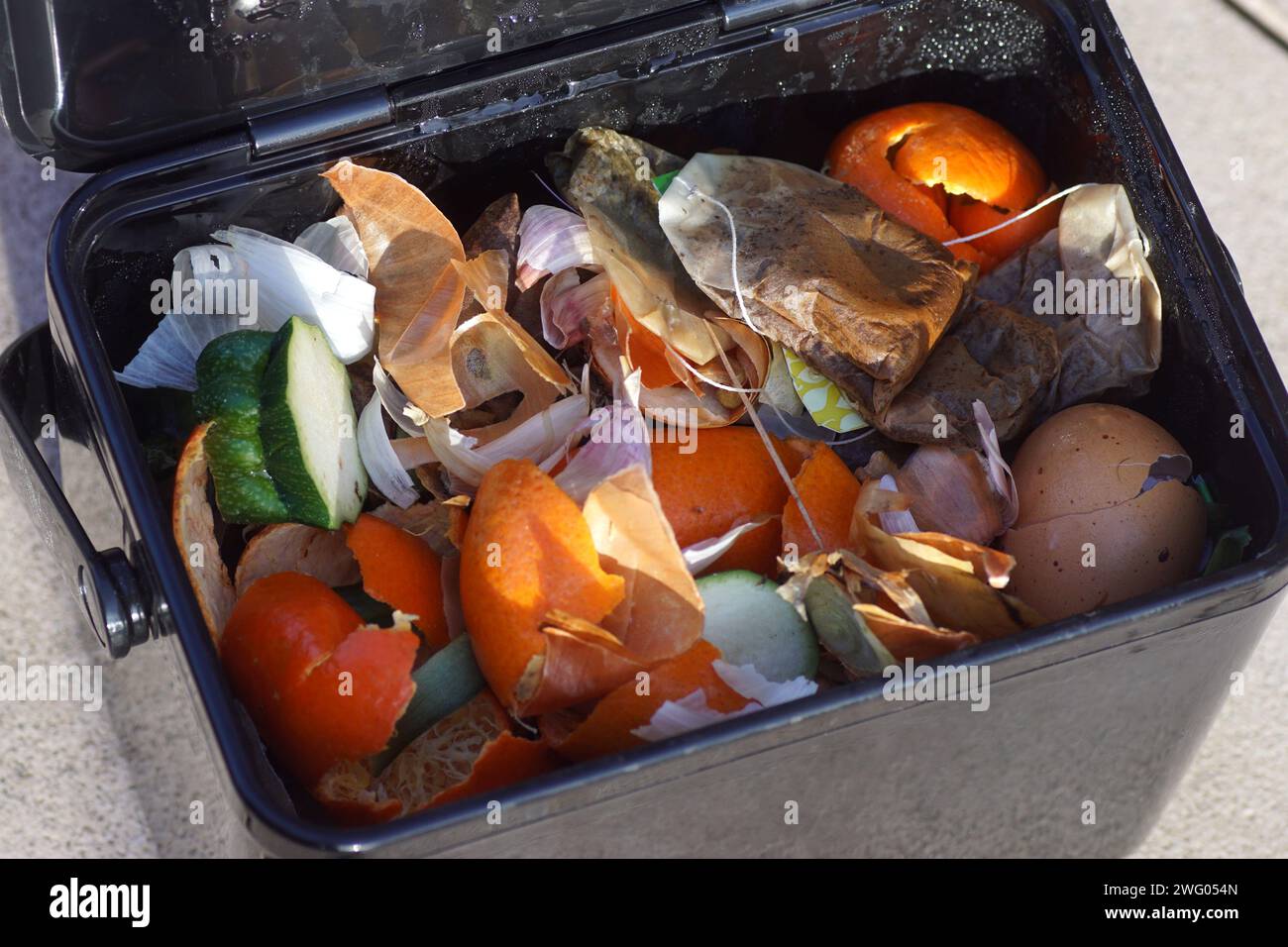 Schwarzer Küchenkompostierkorb mit Küchenabfällen wie Eierschalen, Mandarinenschalen, Teebeuteln für den Kompoststapel. Winter, Februar. Niederlande Stockfoto