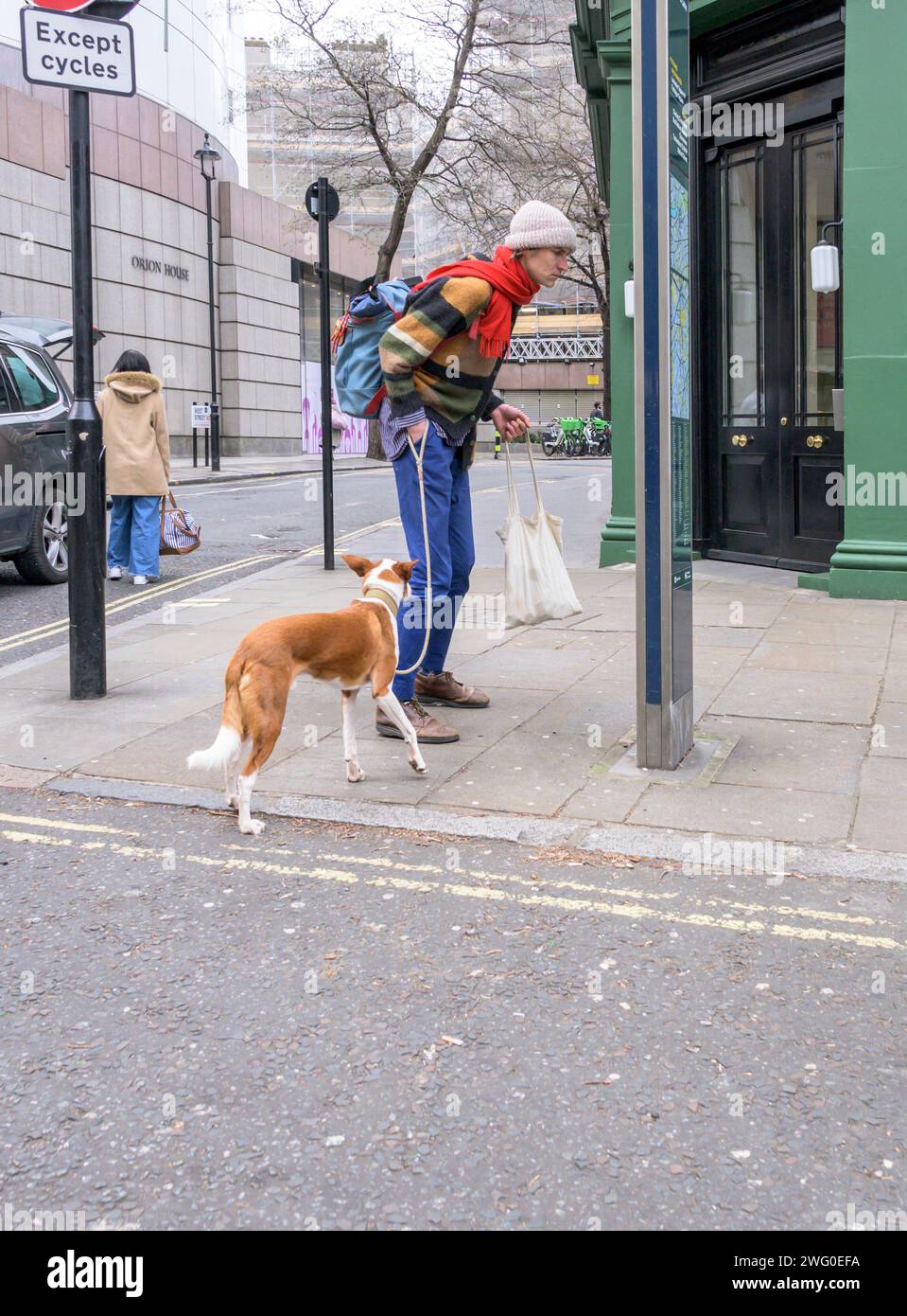 London, Großbritannien. Mann mit Hund, der sich eine Touristeninformationskarte ansieht Stockfoto