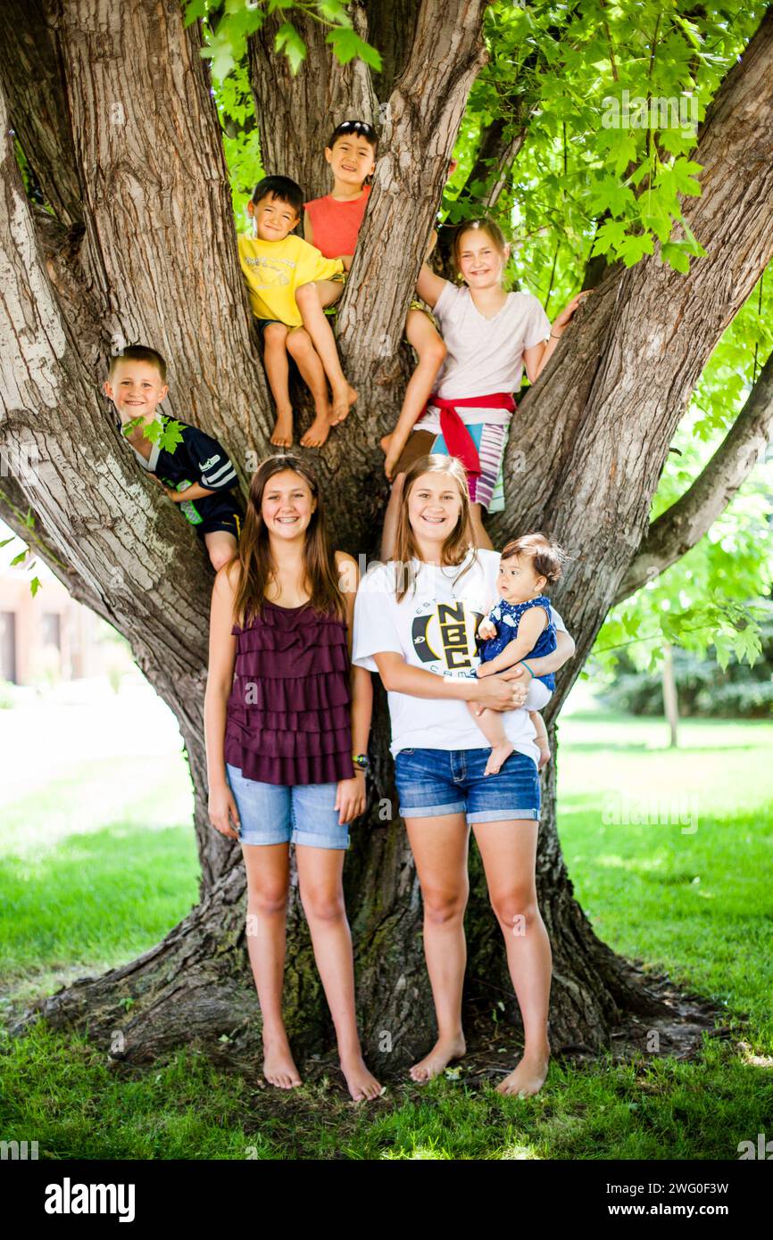 Eine Familie von Nichten und Neffen versammelt sich unter einem großen Cottonwood-Baum. Ein 5-jähriger Junge, zwei 7-jährige Jungen, ein 16-jähriges Mädchen, ein 15-jähriges Mädchen, ein 12-jähriges Mädchen Stockfoto