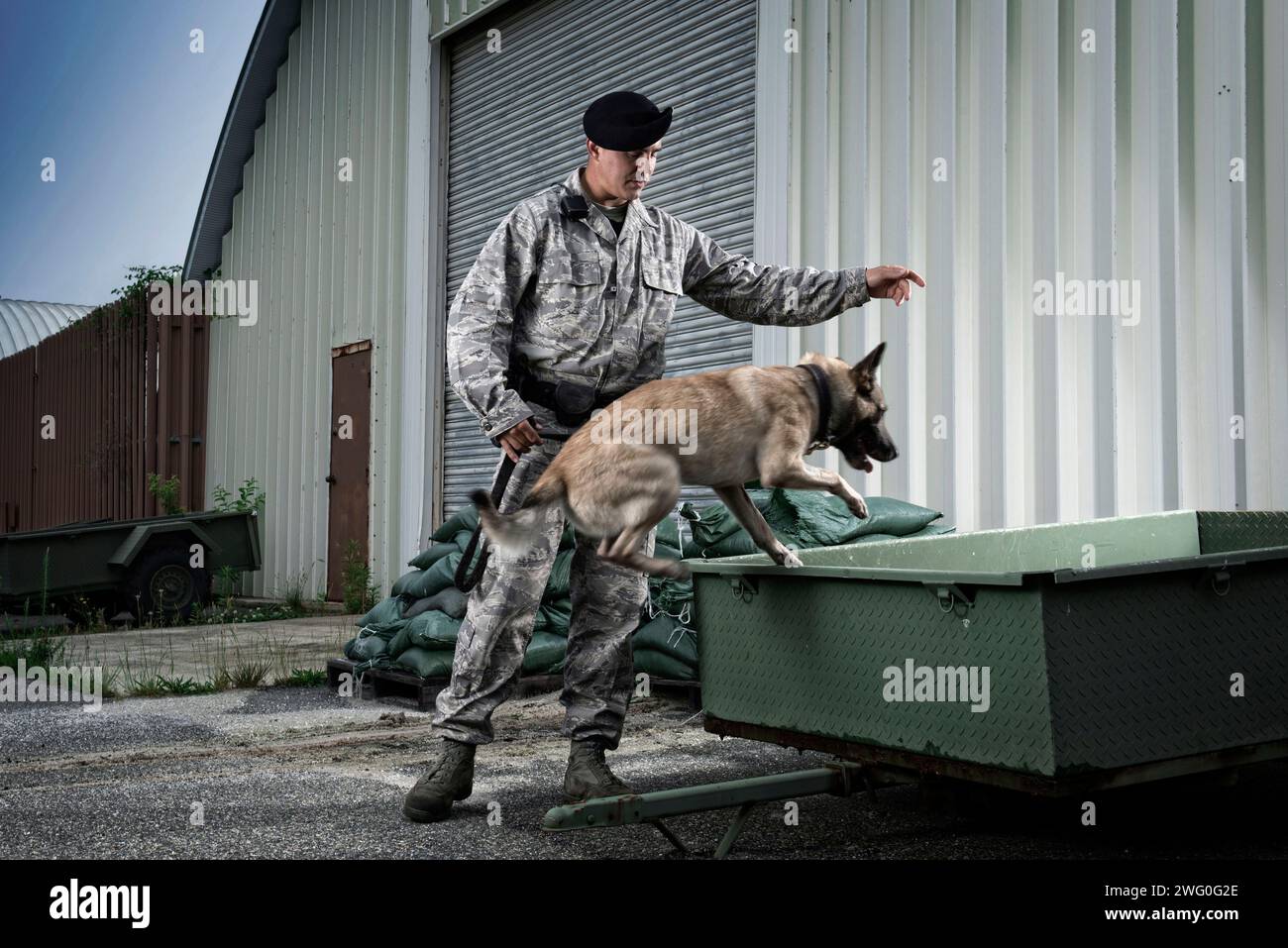 Ein kaukasischer, männlicher Luftwaffe-Sicherheitsmann in Uniform gibt seinem militärischen Arbeitshund den Befehl zu springen. Stockfoto